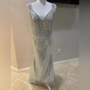 Women’s Silver Gown size Small